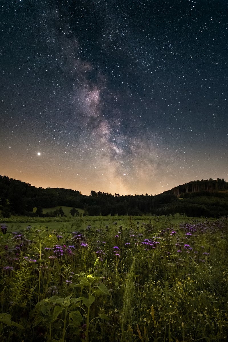 Night Sky Milky Way